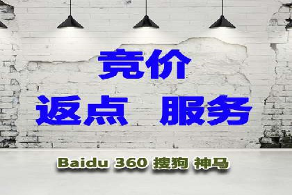 SEM推广策略：成功案例分享与优化技巧